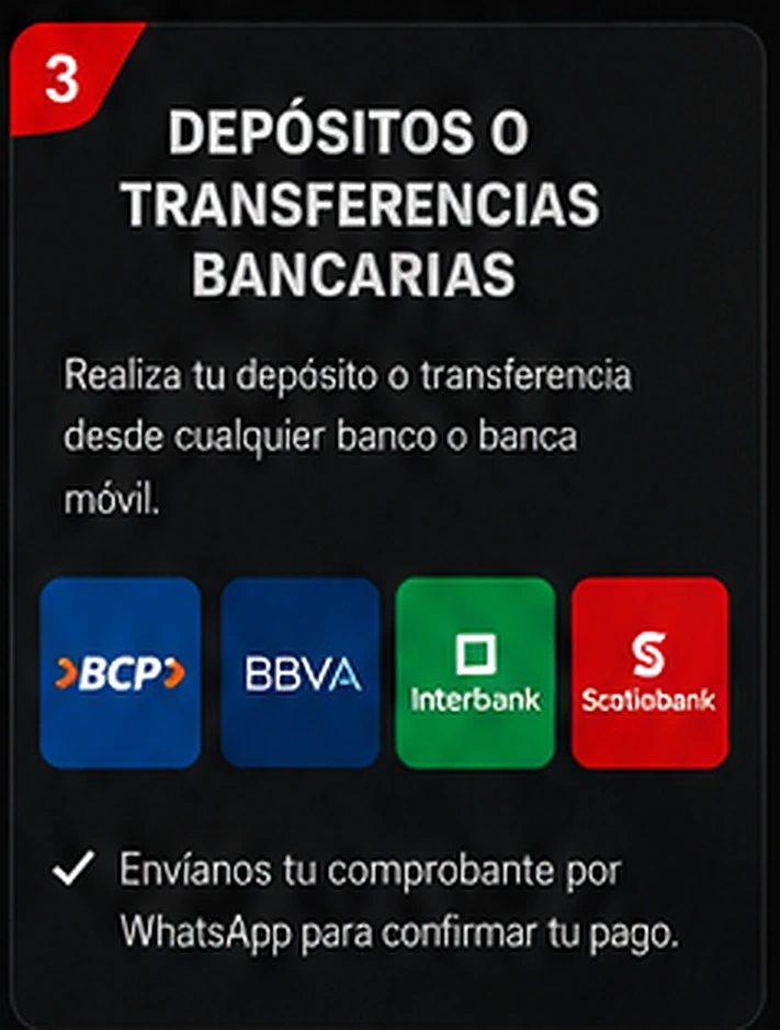 Paso 3: depósitos o transferencias bancarias
