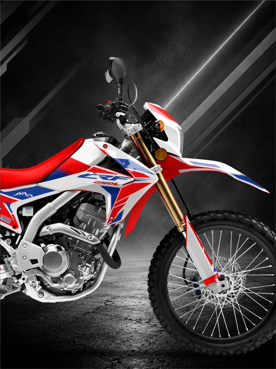 HONDA - CRF300L 2016